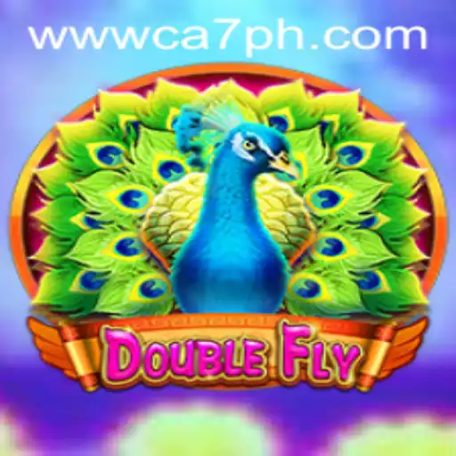 Discover the Exciting World of DoubleFly: A New Gaming Sensation